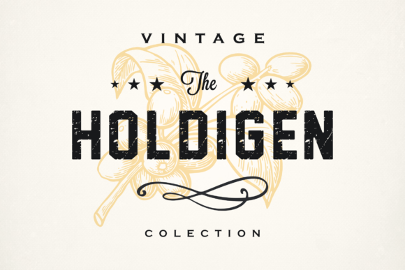 Holdigen: A Bold Display Font for Web Headers